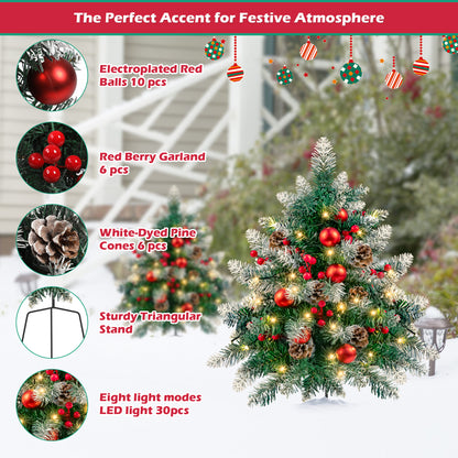 2PCS Small Outdoor Christmas Trees with LED Lights,30" Artificial Xmas Decora for Porch,Yard,Pathway,Garden,PVC